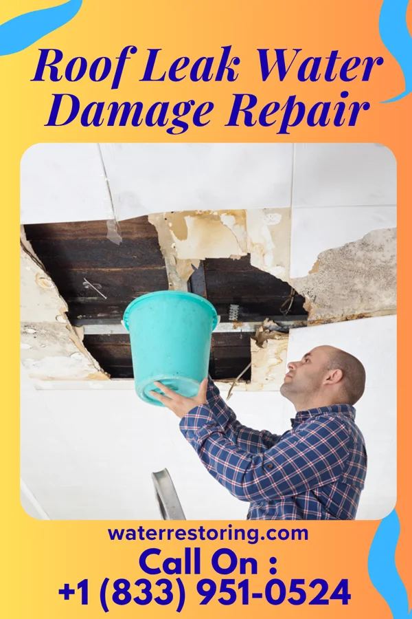 Roof Leak Water Damage Repair in Encampment, WY